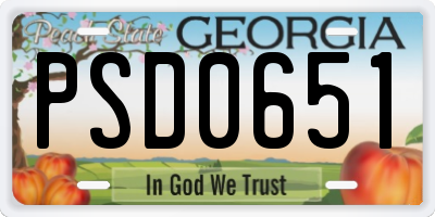 GA license plate PSD0651