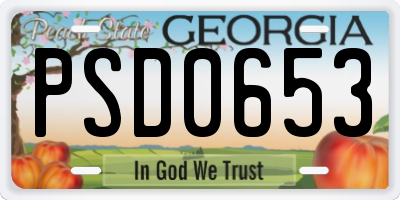 GA license plate PSD0653