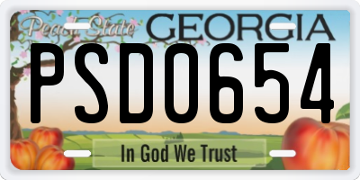 GA license plate PSD0654