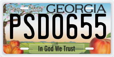 GA license plate PSD0655