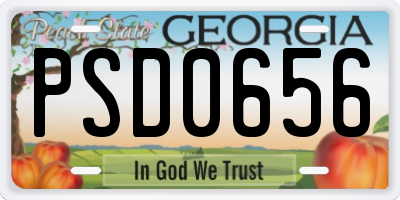 GA license plate PSD0656