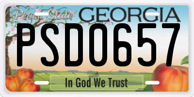 GA license plate PSD0657