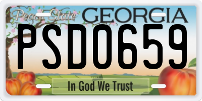 GA license plate PSD0659
