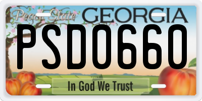 GA license plate PSD0660
