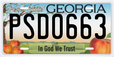 GA license plate PSD0663