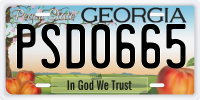 GA license plate PSD0665