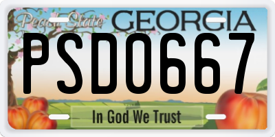 GA license plate PSD0667
