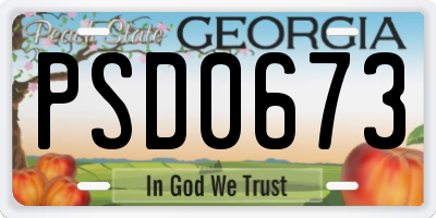GA license plate PSD0673