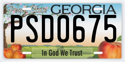 GA license plate PSD0675