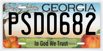 GA license plate PSD0682