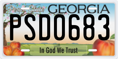 GA license plate PSD0683