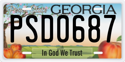 GA license plate PSD0687