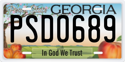 GA license plate PSD0689