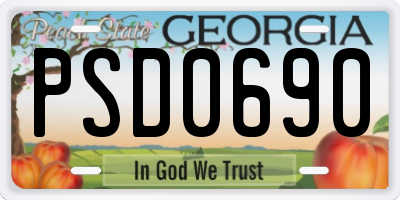 GA license plate PSD0690