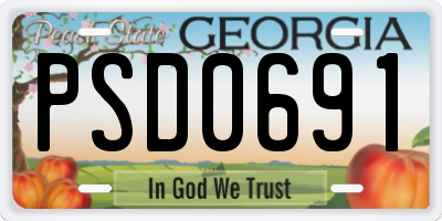 GA license plate PSD0691