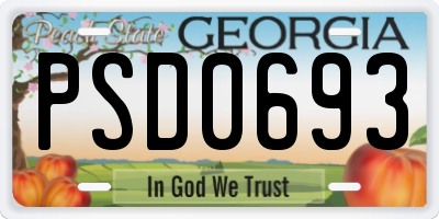 GA license plate PSD0693