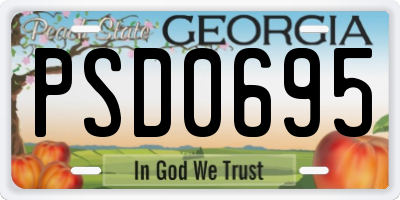 GA license plate PSD0695