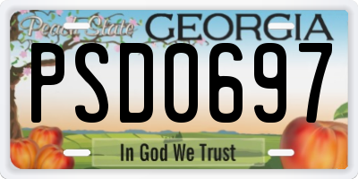 GA license plate PSD0697