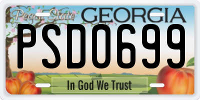 GA license plate PSD0699