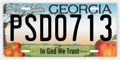 GA license plate PSD0713