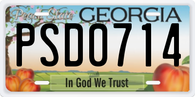 GA license plate PSD0714