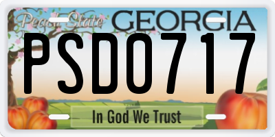 GA license plate PSD0717