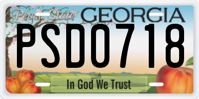GA license plate PSD0718