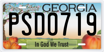 GA license plate PSD0719