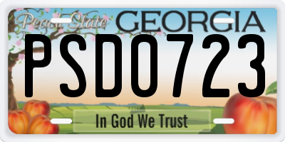 GA license plate PSD0723