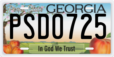 GA license plate PSD0725
