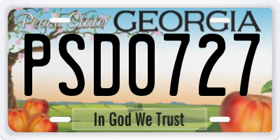 GA license plate PSD0727