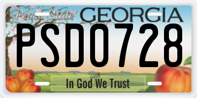 GA license plate PSD0728