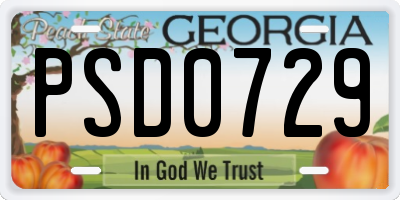 GA license plate PSD0729