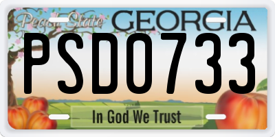 GA license plate PSD0733
