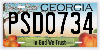 GA license plate PSD0734