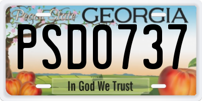 GA license plate PSD0737