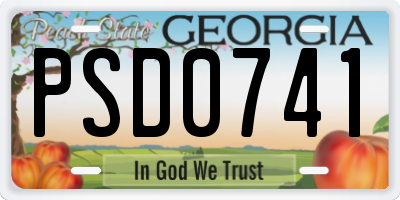 GA license plate PSD0741