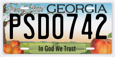 GA license plate PSD0742