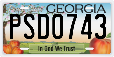 GA license plate PSD0743