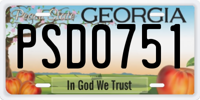 GA license plate PSD0751