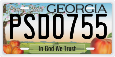 GA license plate PSD0755