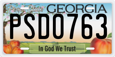 GA license plate PSD0763