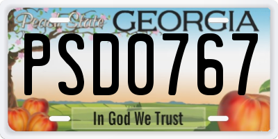 GA license plate PSD0767