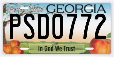 GA license plate PSD0772