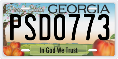 GA license plate PSD0773