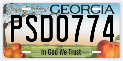 GA license plate PSD0774