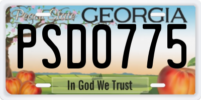 GA license plate PSD0775