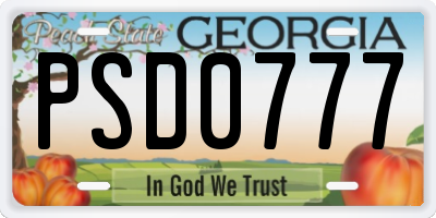 GA license plate PSD0777