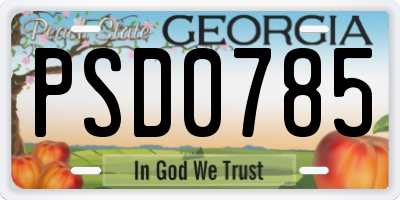 GA license plate PSD0785