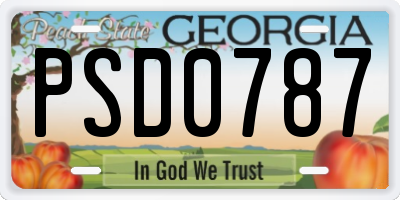 GA license plate PSD0787